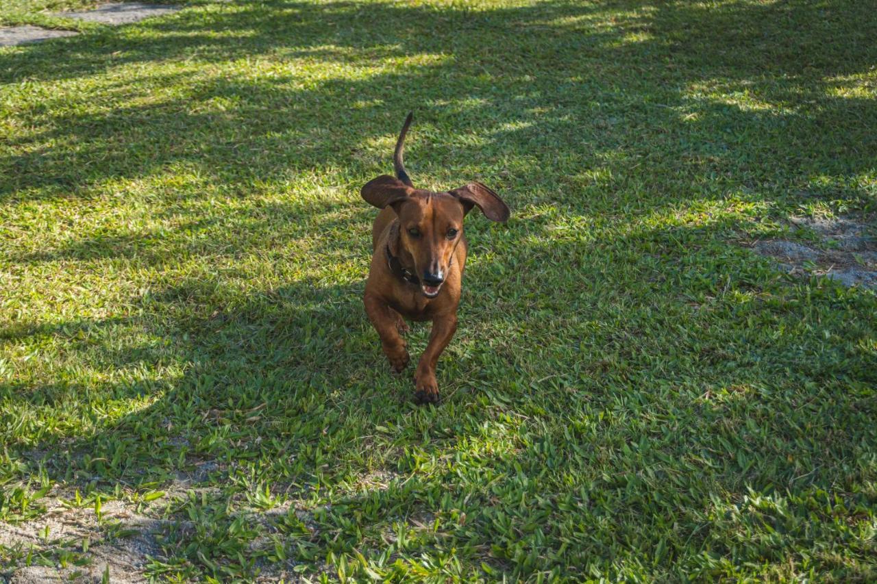 Casa Vista Para Montanha Pet Friendly คารากัวตาตูบา ภายนอก รูปภาพ
